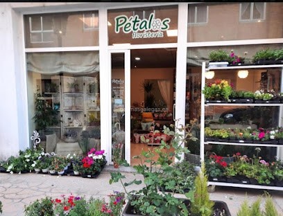 Floraría Pétalos, Floristería en Viana do Bolo