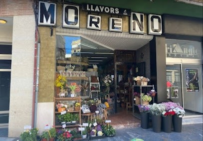 Llavors Moreno, Floristería en Sueca