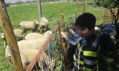Sar Guerrero, Floristería en Torrefresneda