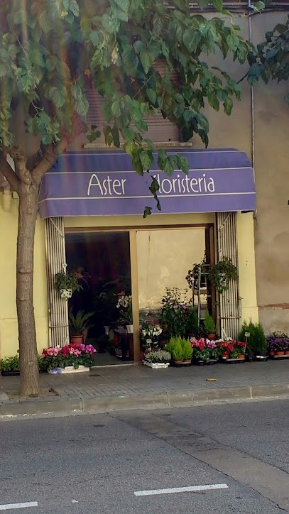 Saüc Floristería, Floristería en Vilafranca del Penedès