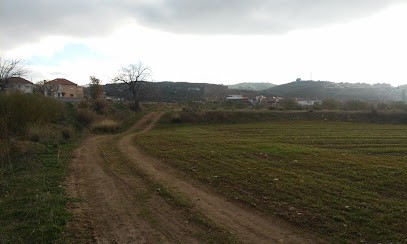 Granada Jardín, Floristería en Jun