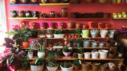 Flores Aida, Floristería en La Caridad