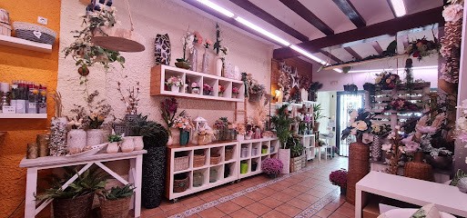 Flors Ana, Floristería en Carcaixent
