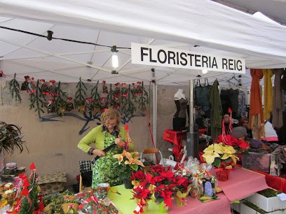 Floristeria Reig, Floristería en Molins de Rei