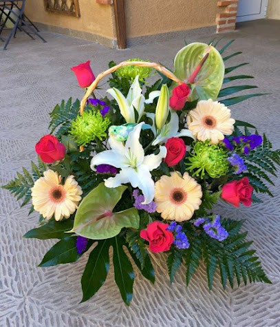 Flores Fuentelapeña, Floristería en Fuentelapeña