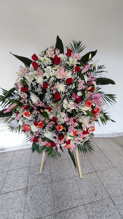 HIJOS DE ANCIONES CALZADA SL, Floristería en Tamames